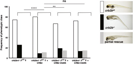 Figure 5