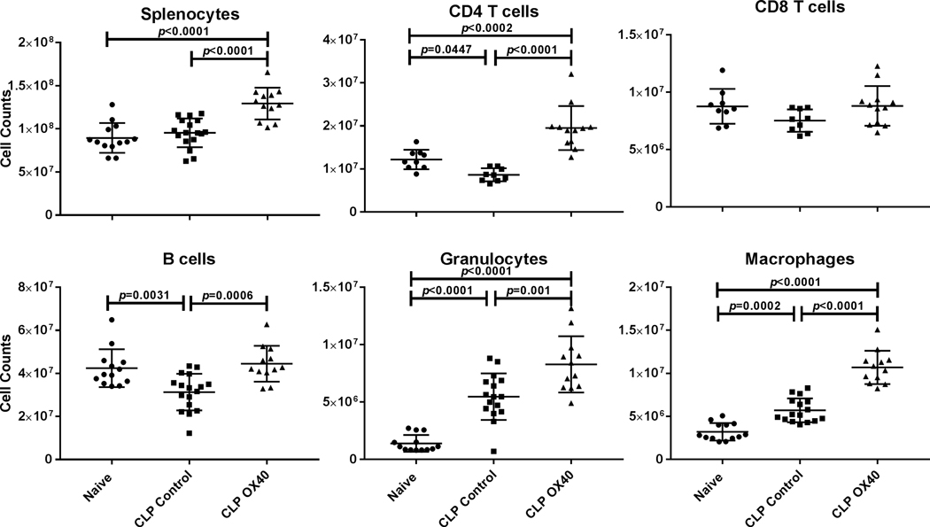 Figure 4: