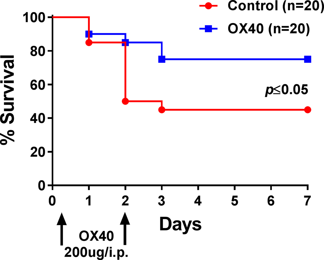 Figure 6: