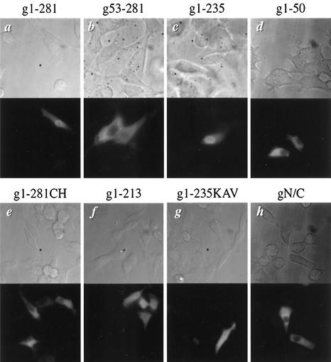 FIG. 6.