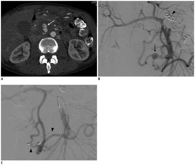 Fig. 6