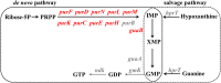 FIG 5