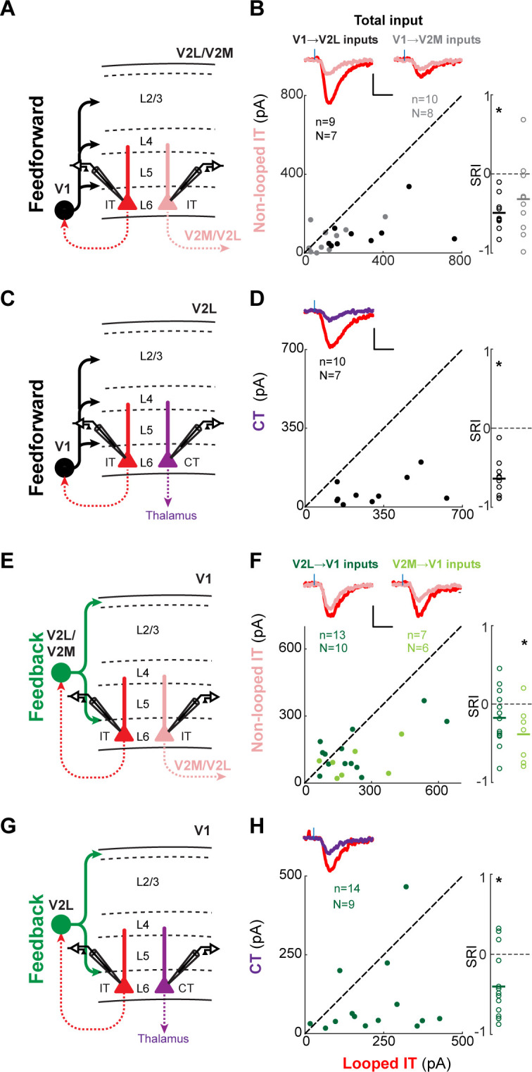 Figure 4—figure supplement 1.