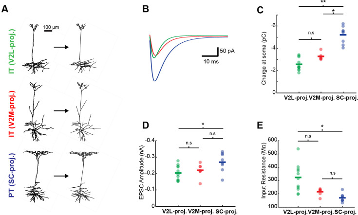 Figure 5—figure supplement 3.