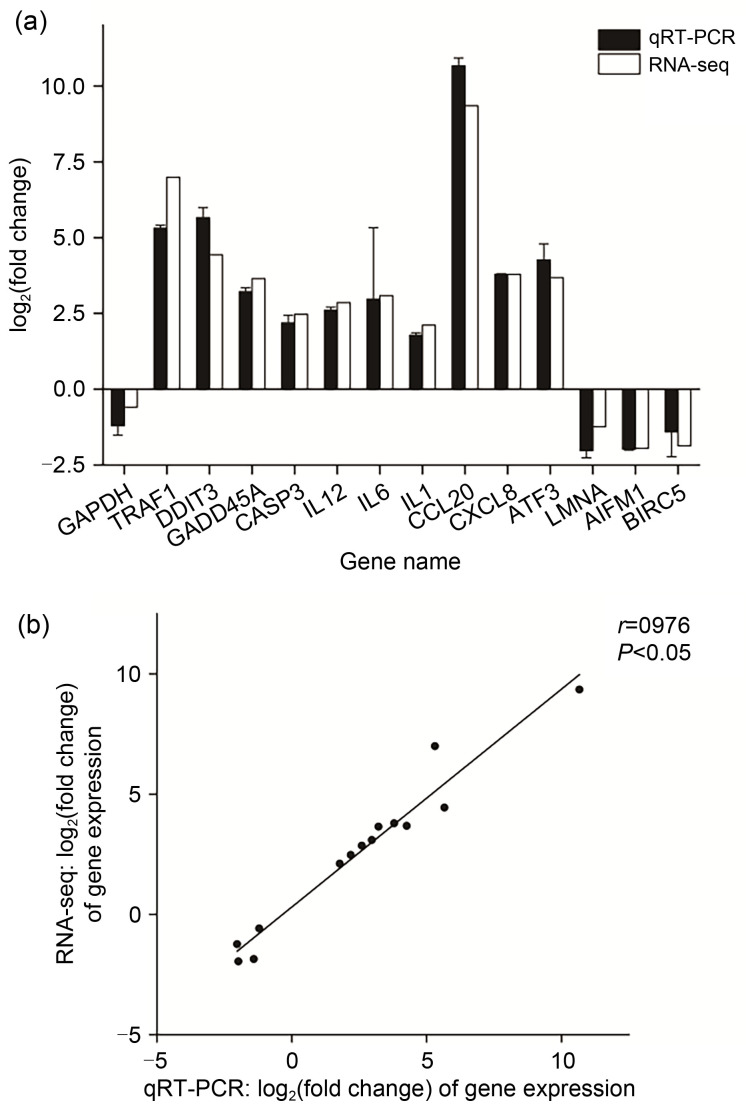 Fig. 9