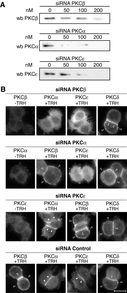 FIG. 9.