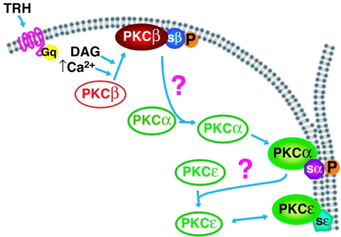 FIG. 11.