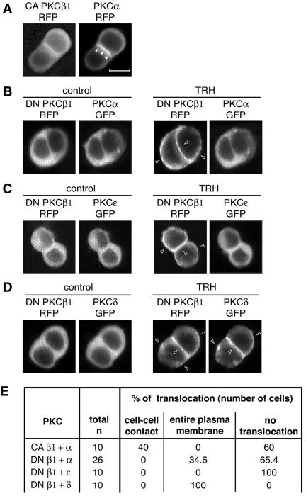 FIG. 5.