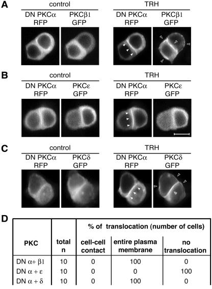 FIG. 6.