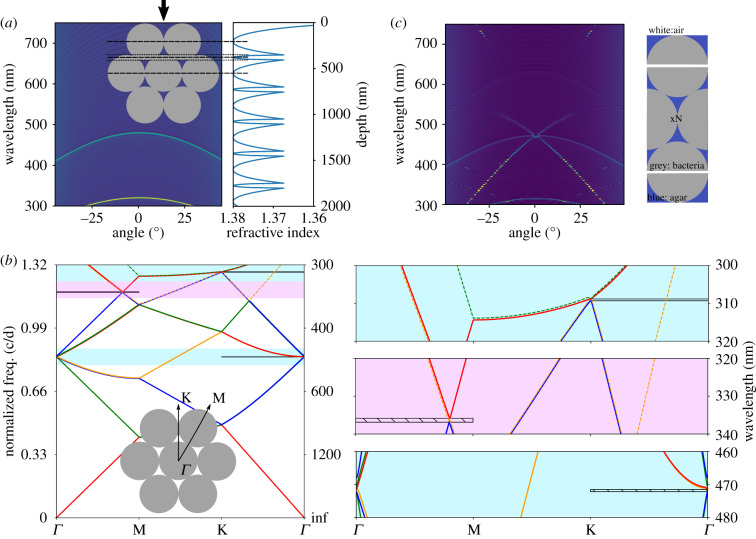 Figure 4.