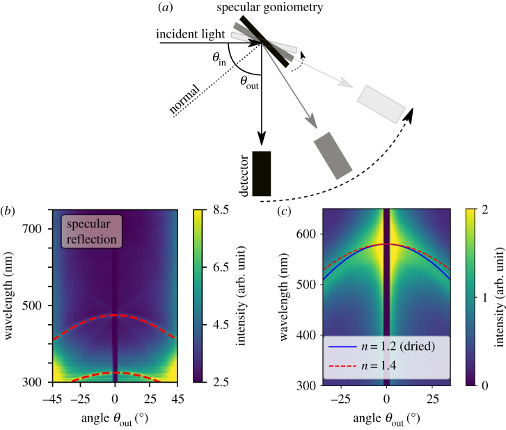 Figure 3.