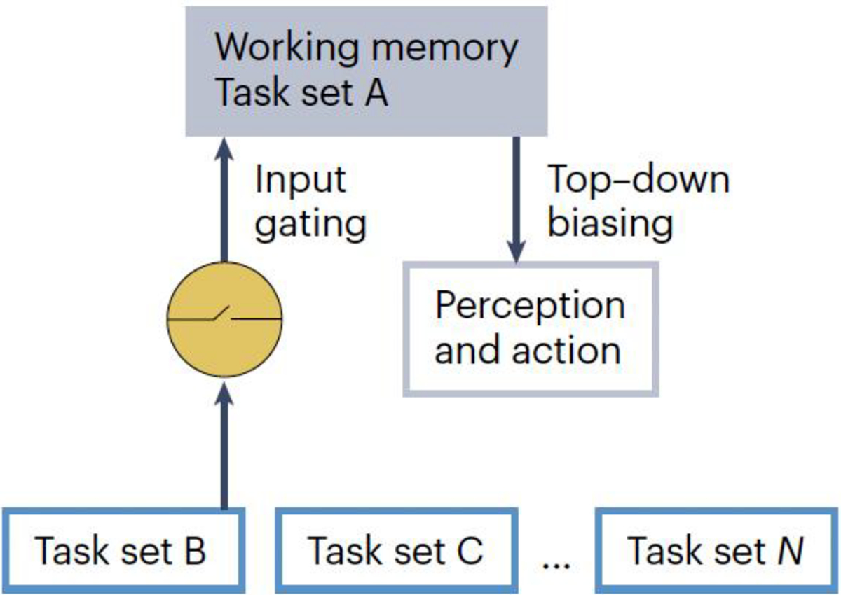 Figure 1.