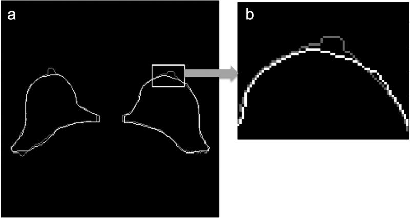 Figure 8