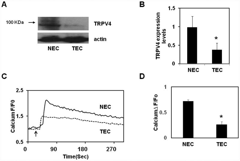 Fig.1