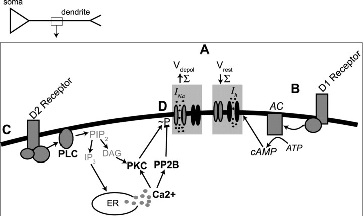 Figure 12.