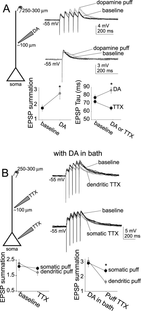 Figure 10.