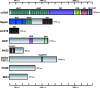 FIG. 2.