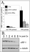 FIG. 6.