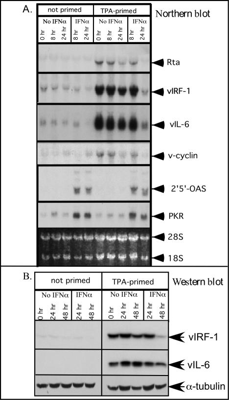 FIG. 8.