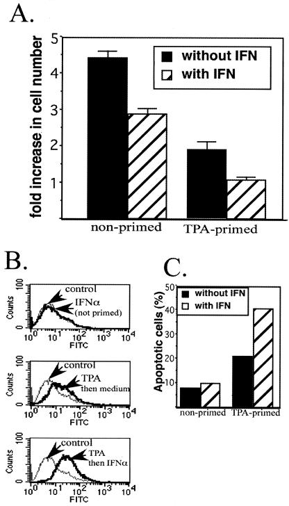 FIG. 9.