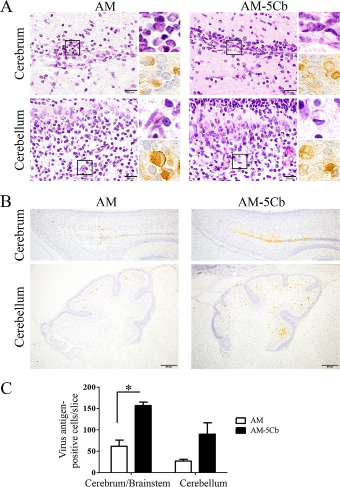 FIG 6