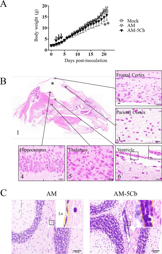 FIG 4