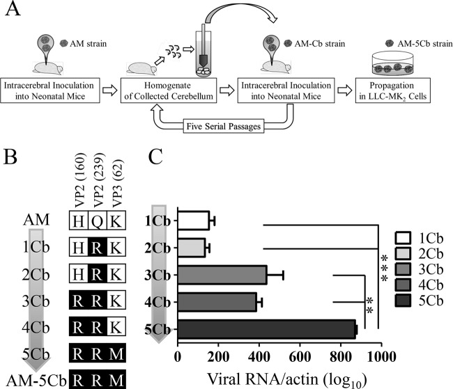 FIG 1