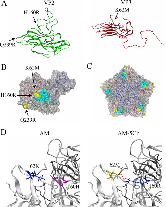 FIG 2