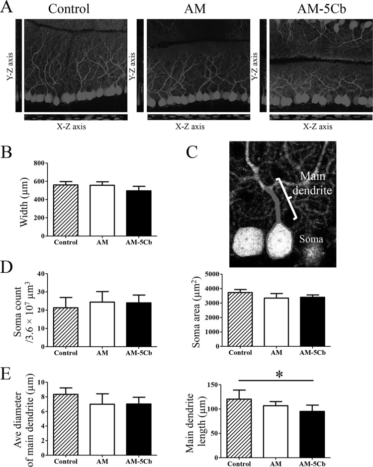 FIG 9