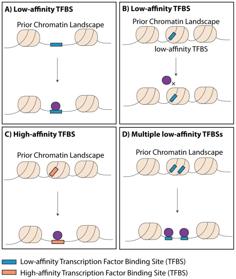 Figure 4: