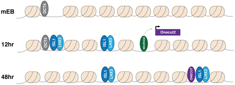 Figure 3: