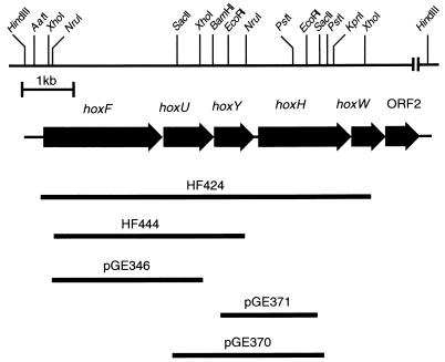 FIG. 1