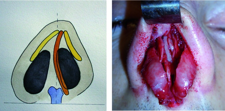 Fig. 6.