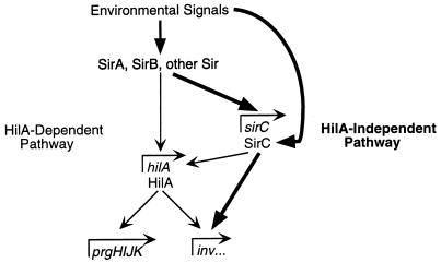 FIG. 6