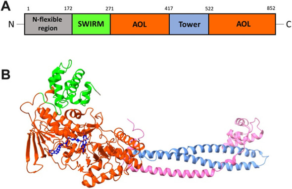 FIGURE 2