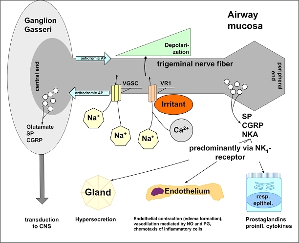 Figure 18