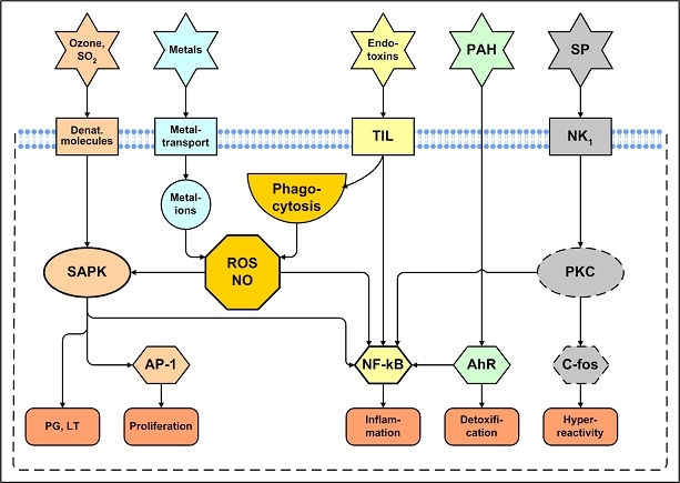 Figure 19