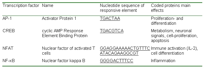 Table 6