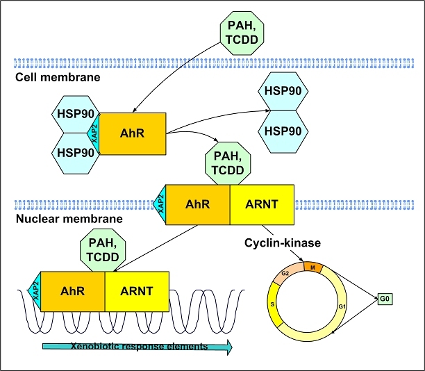 Figure 14