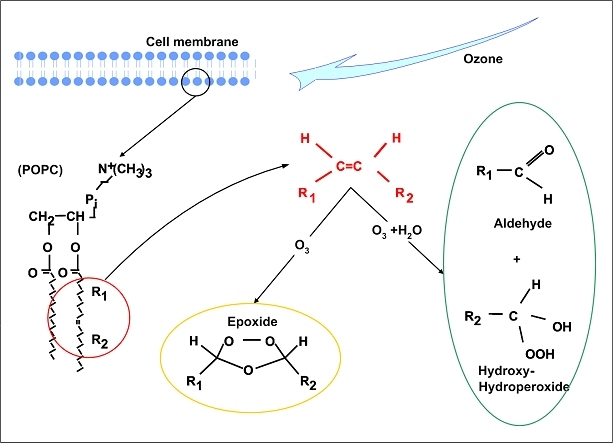 Figure 17