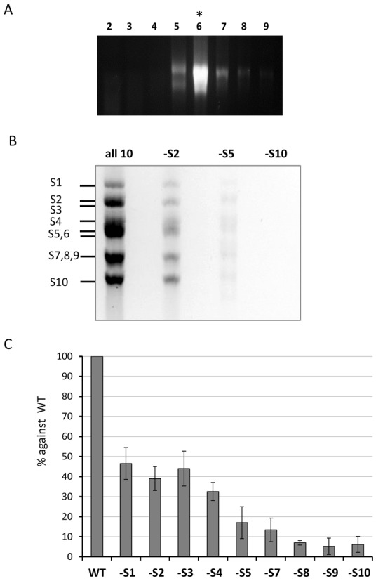 Figure 1.