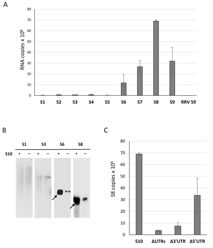 Figure 7.