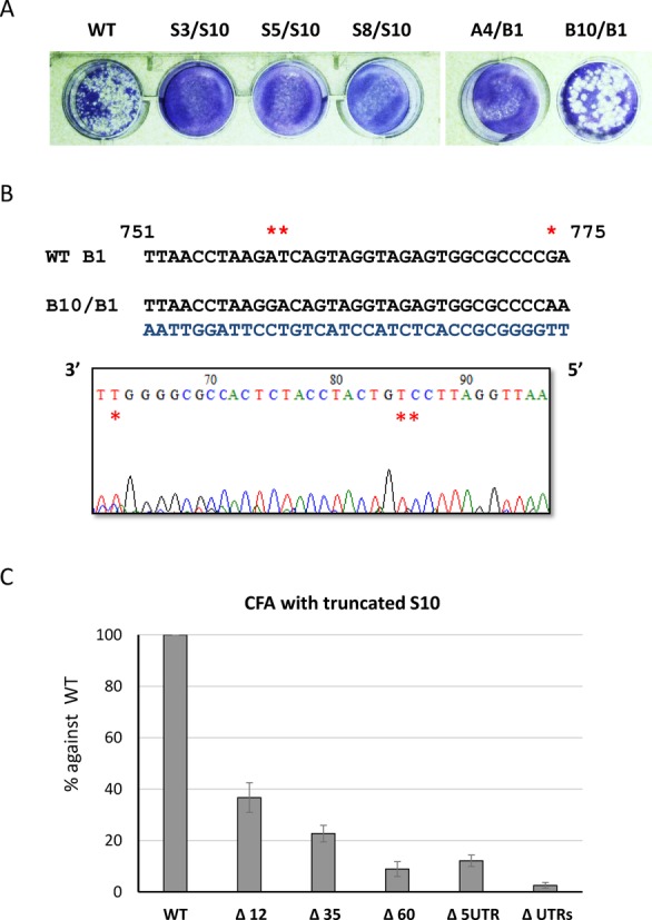 Figure 4.