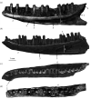 Figure 10.
