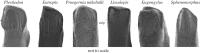 Figure 12.