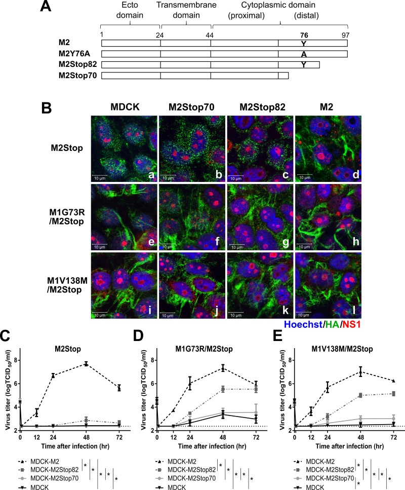 FIG 6