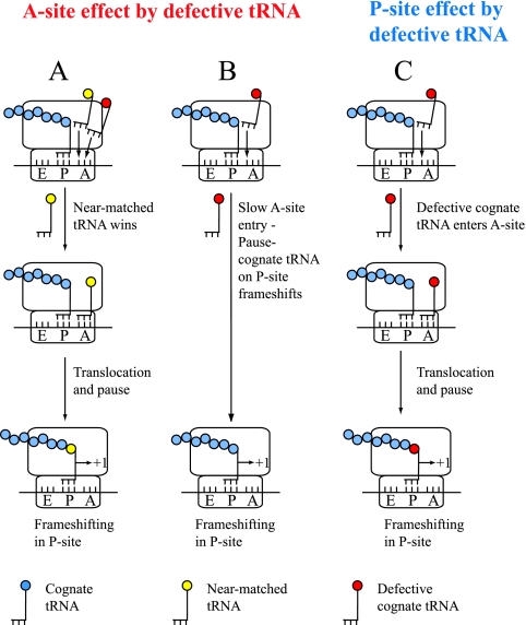 FIG. 6.