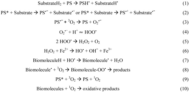 graphic file with name viruses-04-01034-i001.jpg