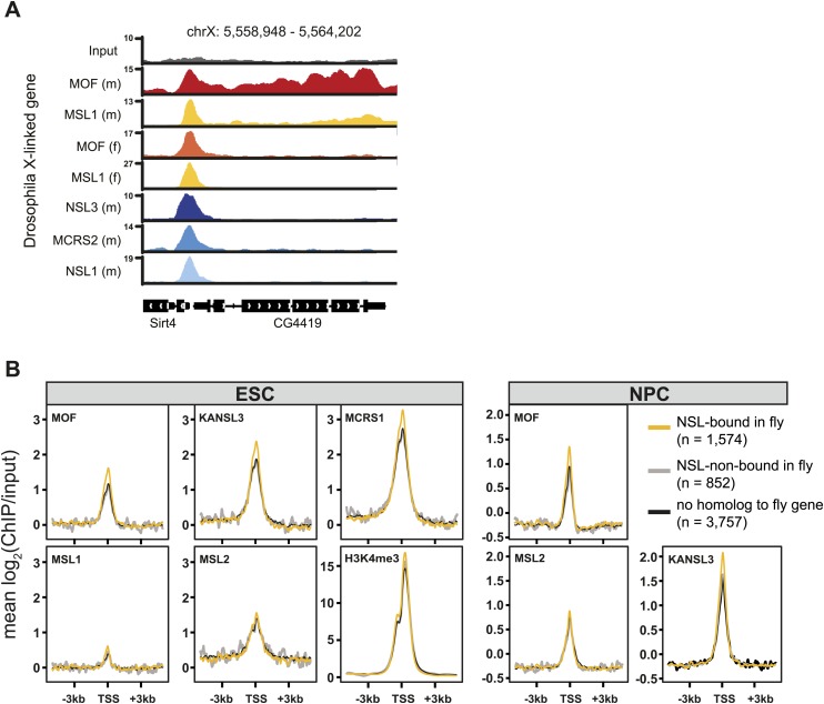 Figure 3—figure supplement 2.