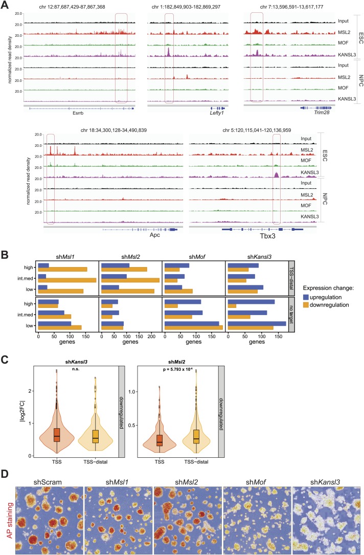 Figure 4—figure supplement 4.